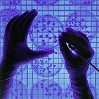 در زمینه ژن‌درمانی بیماری‌های صعب‌العلاج،همکاری هایی صورت گرفت