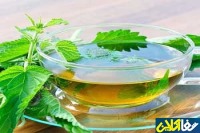 درمان کم خونی با گیاه گزنه