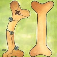 زنان خانه دار مراقب پوکی استخوان باشند