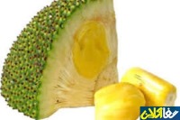 جایگزینی برای دانه‌های کاکائو