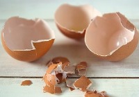 مزایای پوست تخم مرغ چیست؟