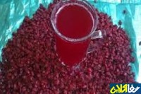 تصفیه خون با آب زرشک