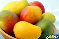 5 خاصیت برتر «انبه» برای حفظ سلامتی بدن