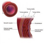 ایجاد گذرگاه موقت دارو در رگ ها با نانوذرات مغناطیسی
