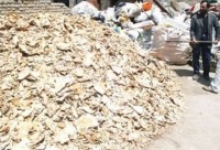 آفلاتوکسین نان خشک، سرطانزا نیست