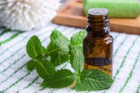 روغن نعناع؛ دارویی بی نظیر برای زیبایی و تقویت مو