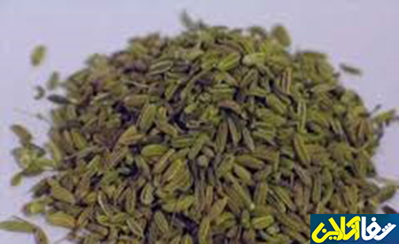 همه چیز درباره رازیانه