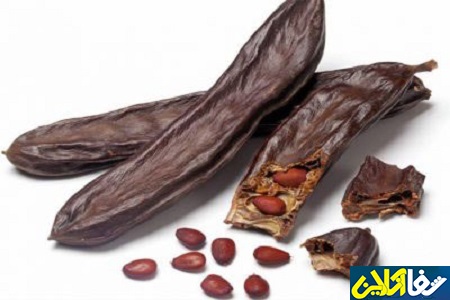 آشنایی با گیاه خرنوب و خواص آن