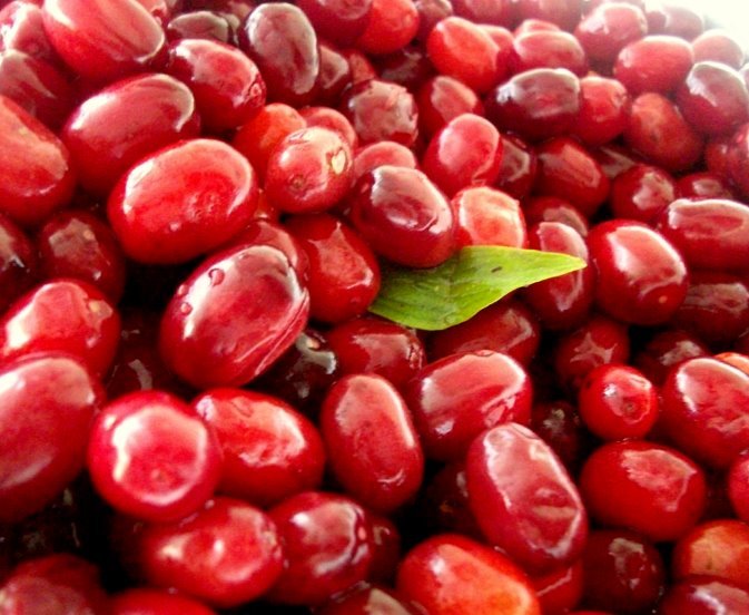 زغال‏‌اخته‏ چه خواصی دارد؟