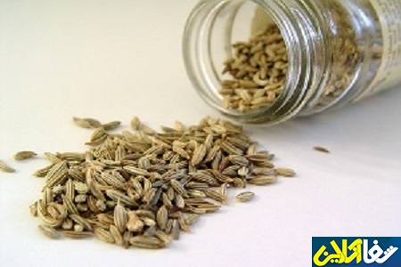 معجزه زنیان در تسکین دندان درد