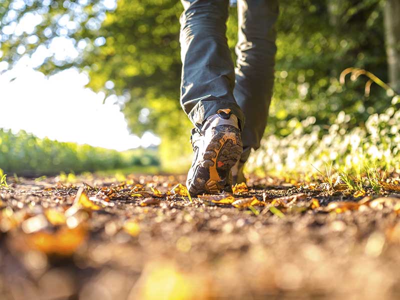 بهترین زمان پیاده روی برای چربی سوزی بیشتر