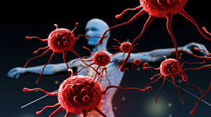 سیستم ایمنی بدن و تقویت آن برای بهبود سریع بیماری- مقاله ی (2)