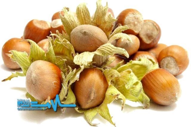 خوردن «فندق» برای سلامتی چه مزایا و خواصی دارد؟