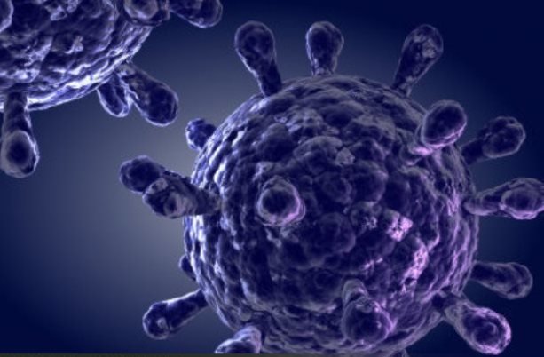 ترکیب داروی آزمایشگاهی با پرتو درمانی برای کشتن تومورهای مغزی