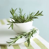 این 10 گیاه شفابخش را امتحان کنید