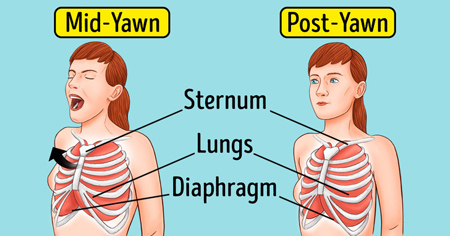 چگونه جلوی خمیازه کشیدن را بگیریم؟