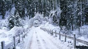 آیا سرما باعث چربی‌سوزی می‌شود؟