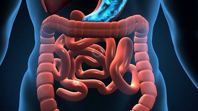 شایع‌ترین بیماری گوارشی چیست؟