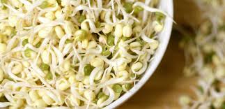 جوانه‌های گیاهان چه خواصی دارند؟