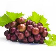 خواص عجیب هسته انگور در درمان سرطان