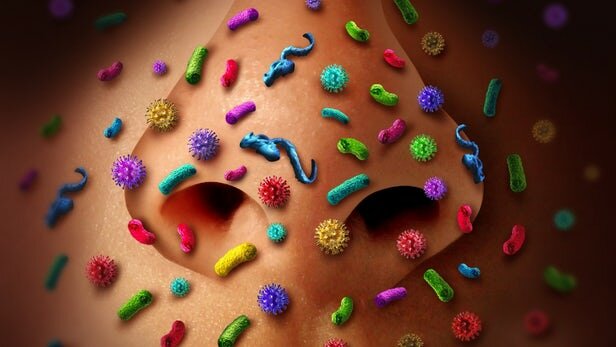 پیشگیری از آنفلوانزا با کمک باکتری بینی!