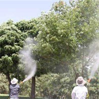 سم موجود در میوه و سبزیجات با شستن و پوست گیری از بین می رود؟