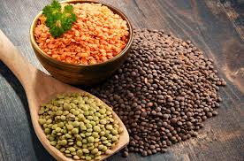 درمان کم‌خونی با «جوانه عدس»