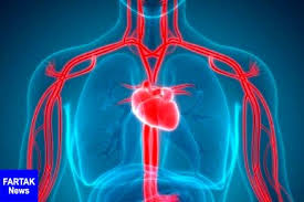 جوان سازی رگ‌های خونی با این ویتامین