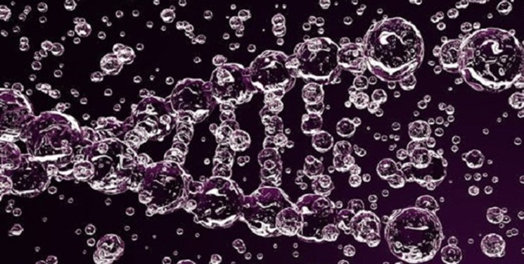 ابداع روش جدید دستکاری ژنتیک