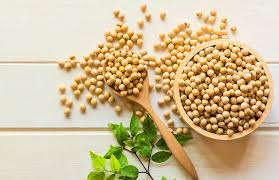 بایدها و نبایدهای مصرف سویا که باید بدانید