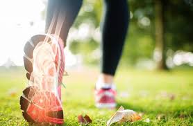 نقش بی بدیل کلسیم برای دندان و استخوان ها