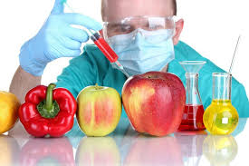 نقش مواد نگهدارنده خوراکی‌ها در افزایش وزن