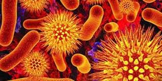 شایع‌‌ترین بیماری فصل گرما است