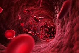 علت ضعف گردش خون