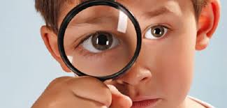 با این 10 گیاه معجزه‌گر بینایی خود را تقویت کنید