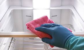 حذف باکتری‌ها به کمک سرکه سیب