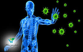 راهنمای تقویت سیستم ایمنی بدن