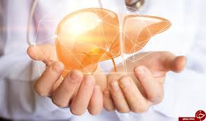 وظایف اصلی کبد در بدن چیست؟