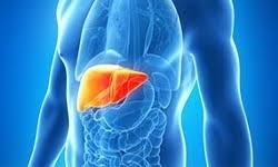 چرا کبدمان چرب می‌شود؟