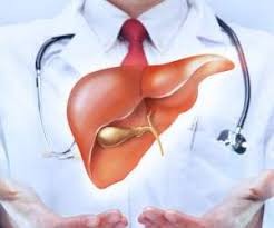 کبد چرب را با این دانه درمان کنید