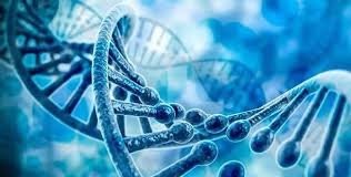 آنچه درباره تکنیک ویرایش ژن نمی‌دانید