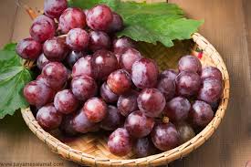 این دانه‌های قرمز، اکسیر جوانی‌اند