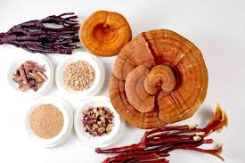 پرخاصیت‌ترین گیاه را بشناسید