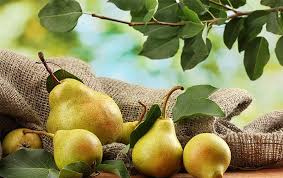 التیام زخم با این میوه‌ی خوشمره