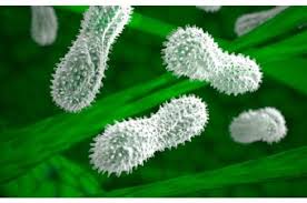 از باکتری‌های بدنتان محافظت کنید