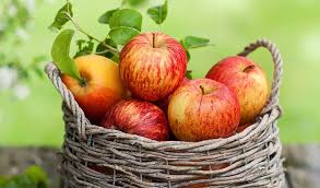 مصرف روزی 1 عدد از این میوه از مراجعه به پزشک بی نیازتان میکند