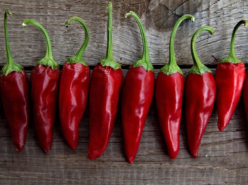 میوه پاییزی که داروی دیابت است