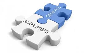 برای جلوگیری از آلزایمر حتما این غذاها را بخورید