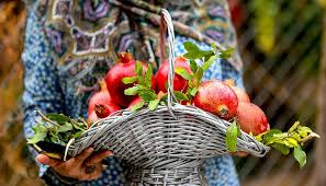هزار و یک خاصیت بی نظیر برای این میوه پاییزی