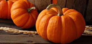 عینکی‌ها این خوراکی را بخورند